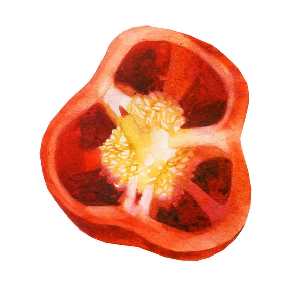 Aquarel Illustratie Rode Peper Halve Paprika — Stockfoto