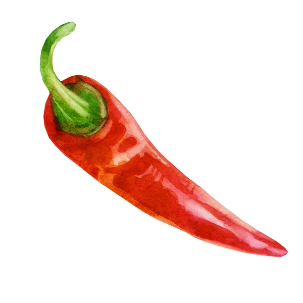 Ilustración Acuarela Pimienta Roja Picante Pimiento Chile — Foto de Stock