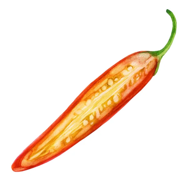 Watercolor Illustration Red Hot Pepper Half Chili Pepper — Stock Photo, Image