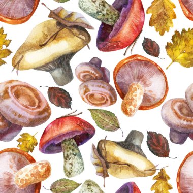 Suluboya Illustration, desen. Orman motif. Beyaz arka planda mantar ve yaprakları