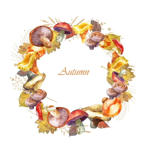 水彩插图。秋圆框架。蘑菇和树枝在白色的背景。秋季主题 — 图库照片