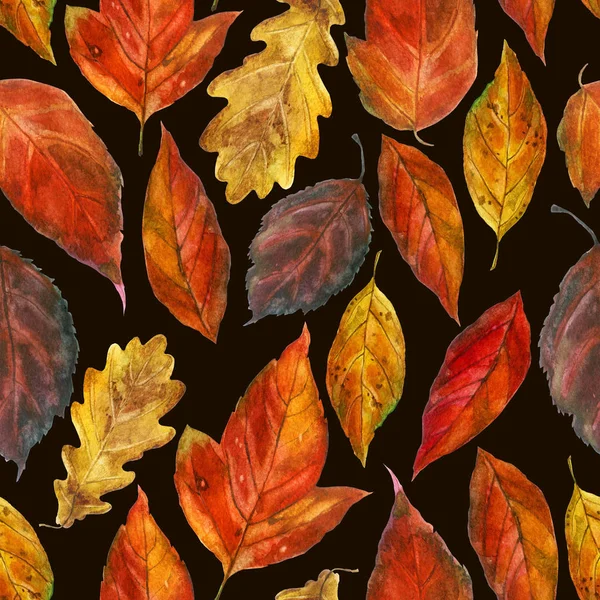 Watercolor illustration, pattern. Autumn leaves on a brown background — Stock Photo, Image
