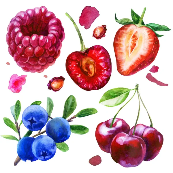 ●水彩イラスト、セット。ラズベリー、半分のイチゴ、サクランボの半分、ピットチェリー、枝の上のサクランボ、枝のブルーベリー、ピンクの斑点. — ストック写真