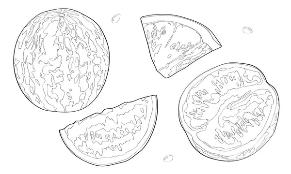 Vektor-Illustration, gesetzt. Wassermelone, eine halbe Wassermelone, ein Stück Wassermelone. Schwarze Linie. — Stockvektor