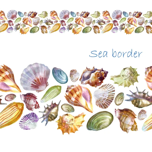 Borda Ilustração Aquarela Conchas Mar Pedras Marinhas — Fotografia de Stock