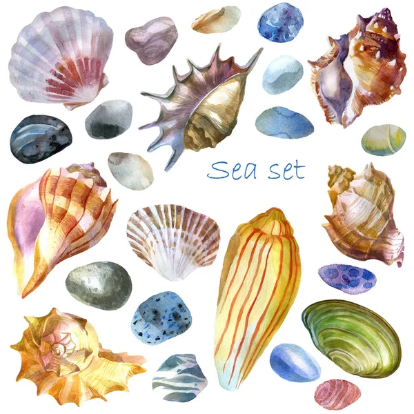 Illustrazione Acquerello Conchiglie Pietre Marine Set Tema Estivo Spiaggia Relax — Foto Stock