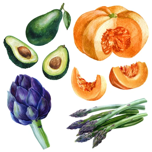 Aquarel Illustratie Set Groenten Artisjok Avocado Pompoen Asperges Geïsoleerde Eco — Stockfoto