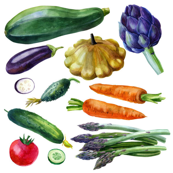 Watercolor illustration set. Vegetables. Tomato, cucumbers, artichoke, carrots, squash eggplant asparagus. Isolated eco food illustration on white background.