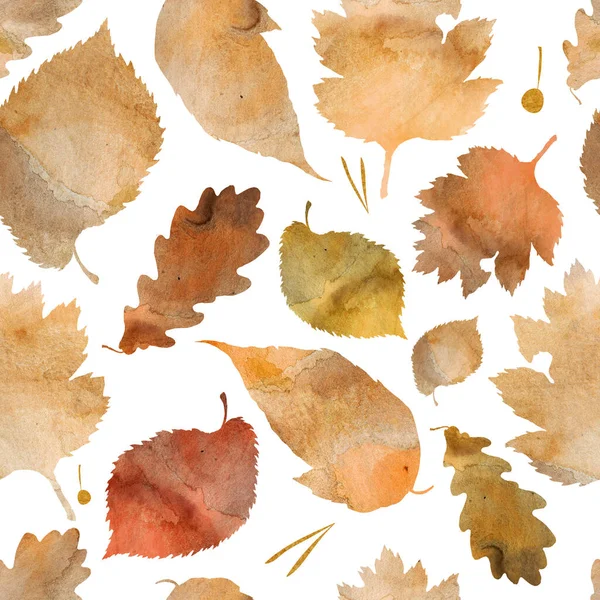 Watercolor Illustration Pattern Autumn Leaves Watercolor Texture — Stock Photo, Image
