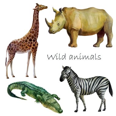 Suluboya resimleme, Afrika vahşi hayvanları. Gergedan timsah zürafası, zebra. Beyaz bir arkaplanda izole edilmiş freehand çizimi.