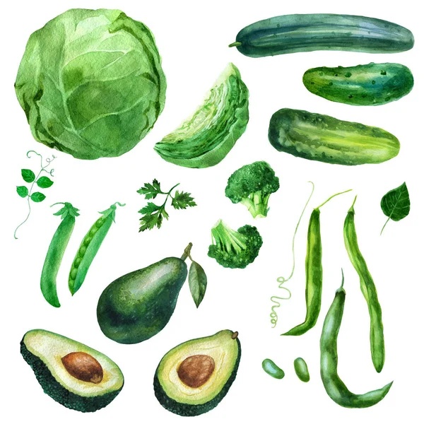 Ilustración Acuarela Set Verduras Col Brócoli Aguacate Guisantes Frijoles Pepinos — Foto de Stock