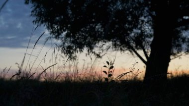 Sabahın köründe dünyayı uyandırmak