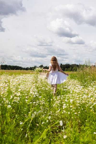 Uma menina em um vestido branco caminha em um campo de camomila com margaridas — Fotografia de Stock