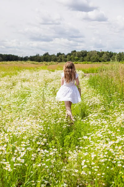 A girl in a white dress walks in a chamomile field with daisies — Stock Photo, Image