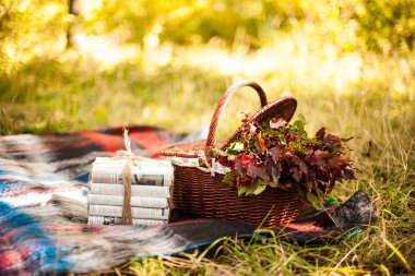 Sonbahar fotoğraf çekimi için fotoğraf bölgesi