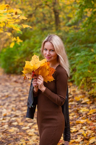 Kráska dívka v podzimním parku — Stock fotografie