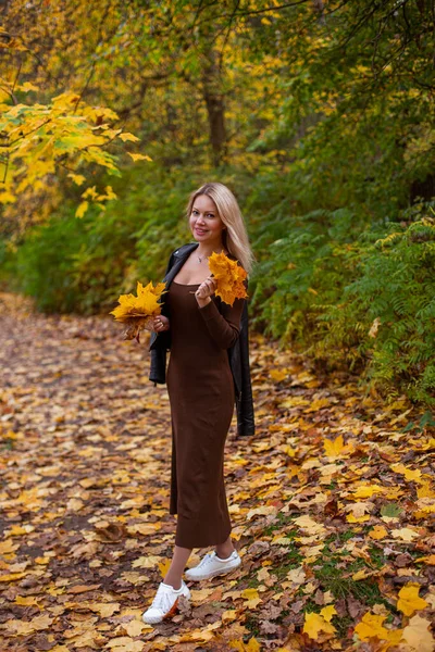 Schoonheid meisje in de herfst park — Stockfoto