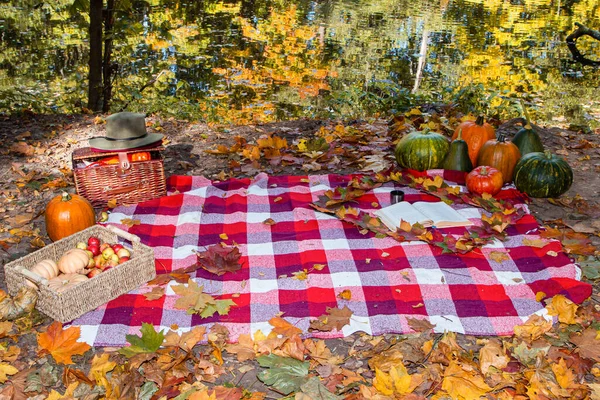 Jesienna martwa natura z dyniami — Zdjęcie stockowe