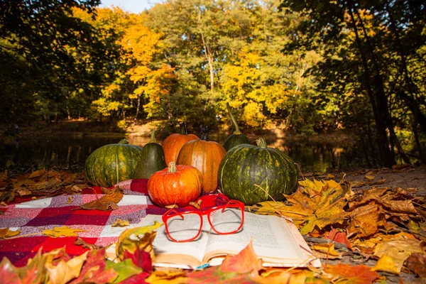 Autumn still life with pumpkins — Stock Photo, Image