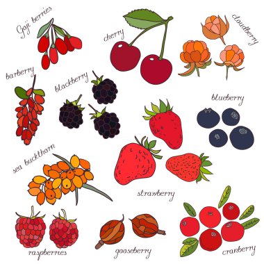 El yapımı böğürtlen. Kızılcık, dut, çilek, çilek, böğürtlen, böğürtlen, böğürtlen,