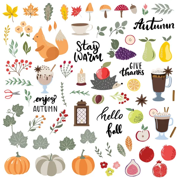 手绘秋天元素、动物、南瓜、成熟水果、蘑菇、花卉、花卉枝条和现代素描风格的字母拼凑 — 图库矢量图片