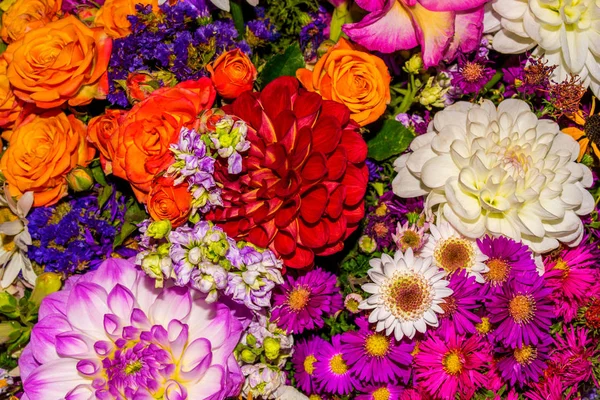 Bild Vackra Närbild Abstrakt Blomma Bakgrund Består Många Blommor — Stockfoto