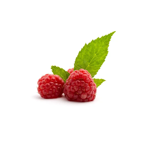 Foto Hermosa Frambuesa Roja Fresca Con Hojas Aisladas Sobre Fondo — Foto de Stock