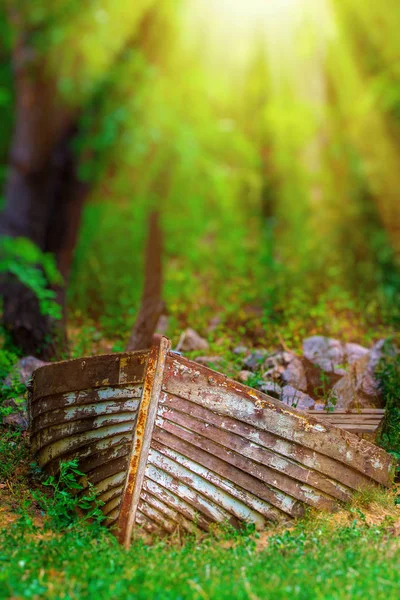 阳光下河边森林里的老木锈船照片 — 图库照片
