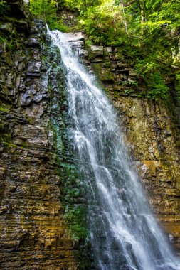 Karpat Dağları'nda yüksek güzel şelale fotoğrafını