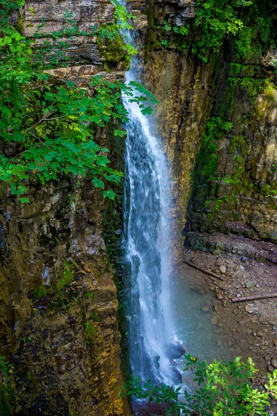 Photo High Beautiful Waterfall Carpathian Mountains — Stock Photo, Image