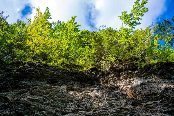 Foto Bela Floresta Verde Rocha Nas Montanhas Dos Cárpatos — Fotografia de Stock