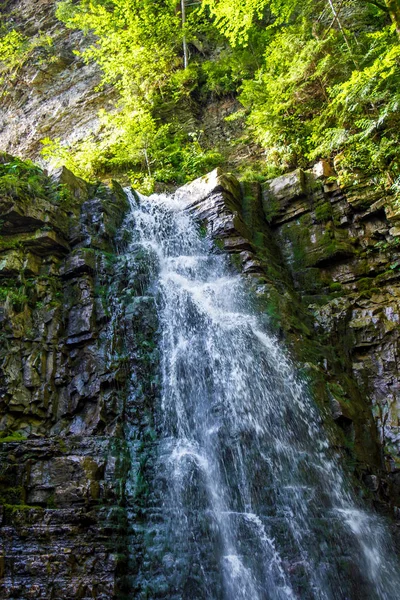 Photo High Beautiful Waterfall Carpathian Mountains — Stock Photo, Image