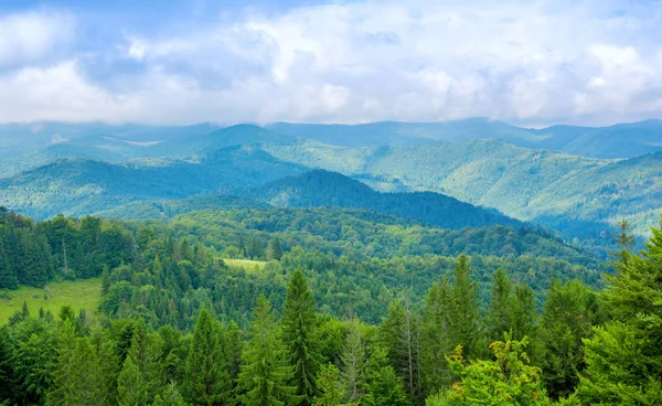 美丽的绿色森林和山谷中喀尔巴阡山的照片 — 图库照片