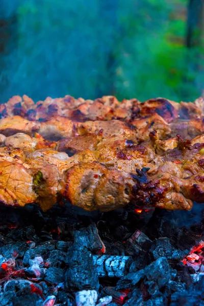 Photo Délicieux Barbecue Porc Frit Sur Charbon Dans Parc — Photo