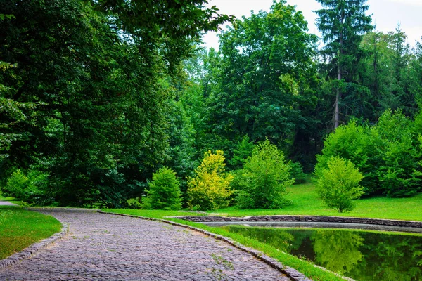 Фото Кам Яної Дороги Біля Озера Прекрасному Зеленому Парку Влітку — стокове фото