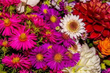 Güzel yakın plan çiçek arkaplanının fotoğrafı birçok çiçekten oluşur.