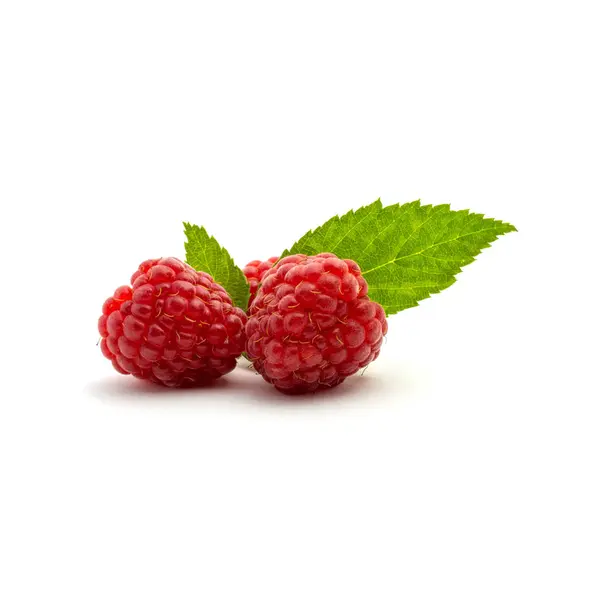 Photo Beautiful Fresh Red Raspberry Leaves Isolated White Background — Stock Photo, Image