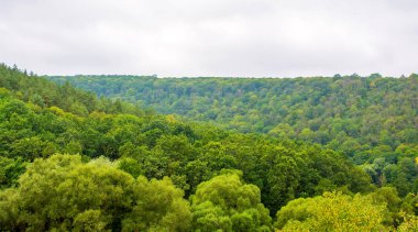 Yeşil güzel orman panorama hava bulutlu gün görünümünde fotoğraf