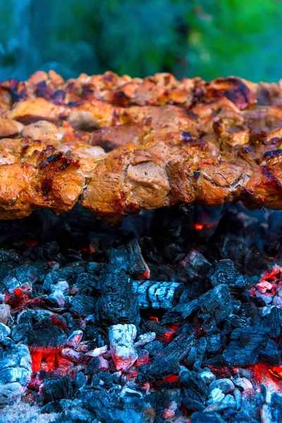 Photo Délicieux Barbecue Porc Frit Sur Charbon Dans Parc — Photo
