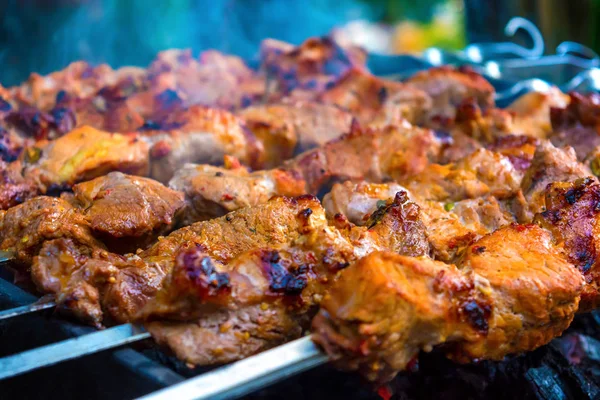 Foto Delicioso Belo Churrasco Porco Frito Carvão Vegetal Parque — Fotografia de Stock