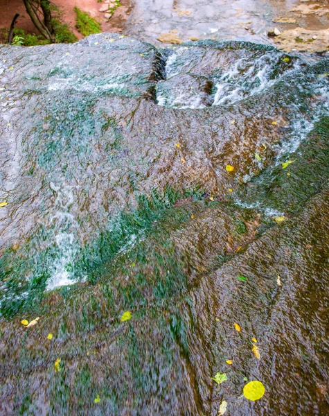 Foto von Gebirgsfluss, der durch den grünen Wald fließt — Stockfoto