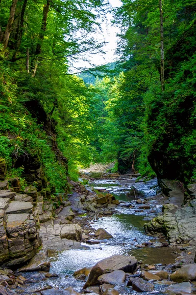 Photo of mountain river flowing through the green forest — Stock Photo, Image