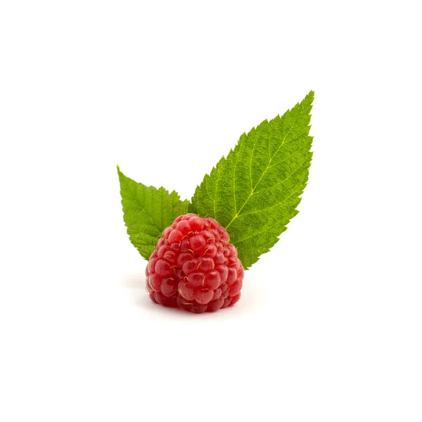 Photo of fresh red raspberry with leaves isolated on white background — Stock Photo, Image