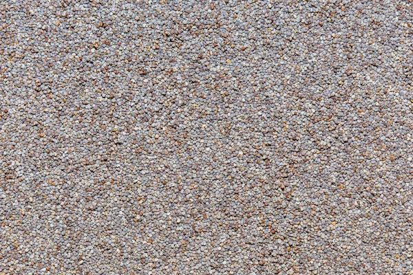 Foto di primo piano texture di semi di papavero, sfondo — Foto Stock