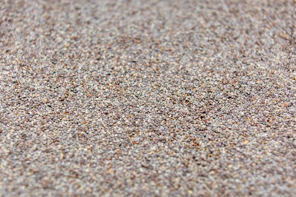 Foto di primo piano texture di semi di papavero, sfondo — Foto Stock