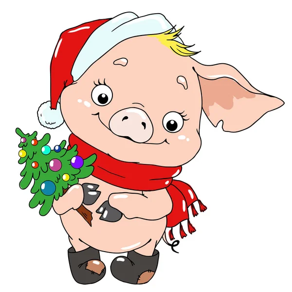 Sweet Pig Christmas Tree Pig Cartoon Character Postcard Congratulations Christmas — Stock Vector