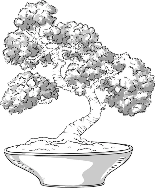 Árbol de Bonsai. Miniatura de árbol japonés. Silueta. Pino japonés. Bonsai en una olla. Arte japonés. Vector aislado sobre fondo blanco . — Vector de stock