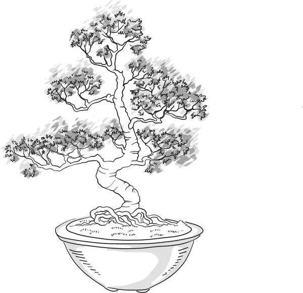 Bonsai träd. Japanska träd miniatyr. Silhuett på vit bakgrund. Krukväxter. Japansk konst. Vektor isolerad på vit bakgrund. — Stock vektor