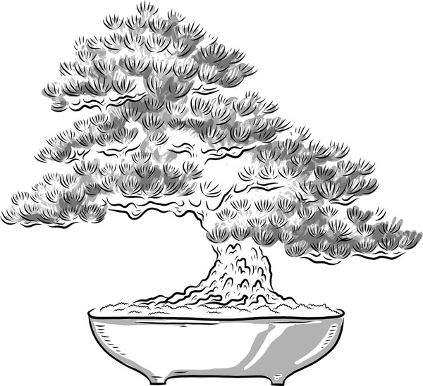 Albero di bonsai. Miniatura albero giapponese. Silhouette di aghi. Pino giapponese. Un albero in vaso. Arte giapponese. Vettore isolato su sfondo bianco . — Vettoriale Stock