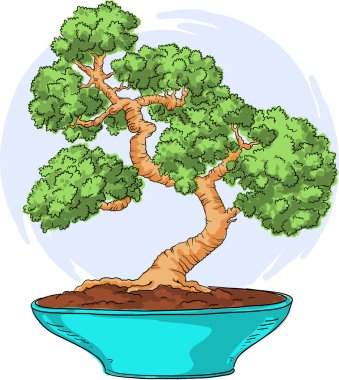 Bonsai bir tencerede. Renkli illüstrasyon. Japon bonsai vektörbeyaz arka plan üzerinde izole.